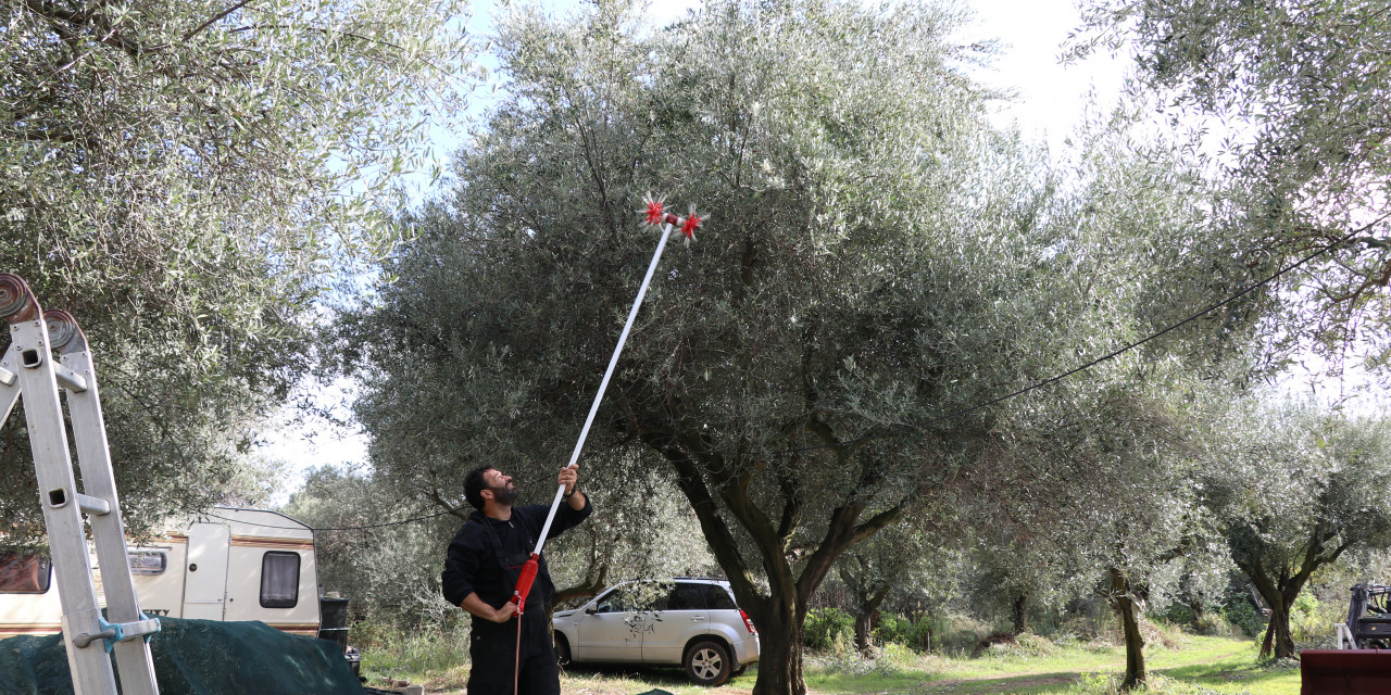 Schuften im Paradies